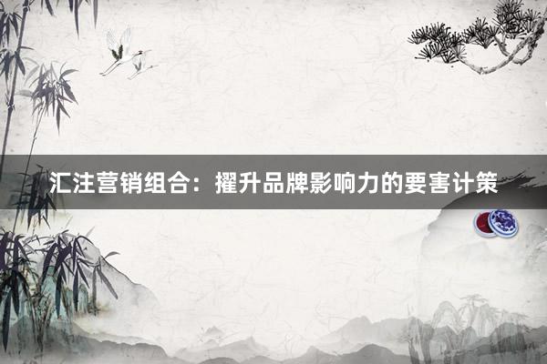 汇注营销组合:擢升品牌影响力的要害计策